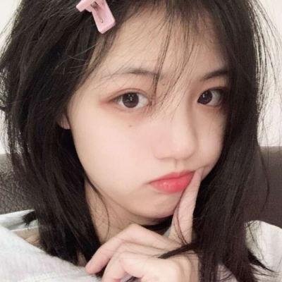 查尔斯天鹅三世的心灵