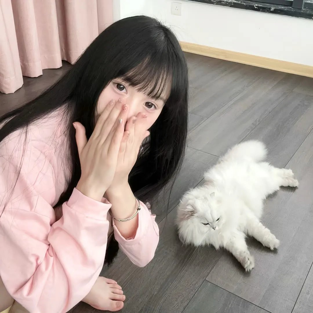 女子十二不设防
